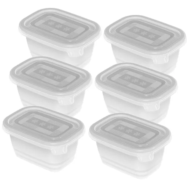 Recipiente Congelator Freeze 6x 250ml Transparent
