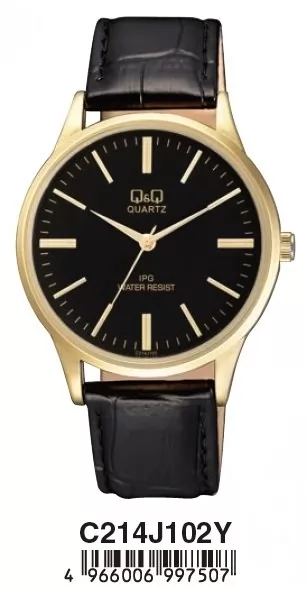 Ceas Barbati, Q si amp;Q by Citizen, Standard C214J102Y