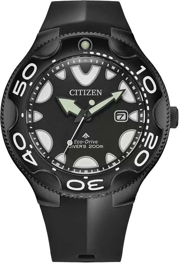 Ceas Barbati, Citizen, Promaster BN0235-01E
